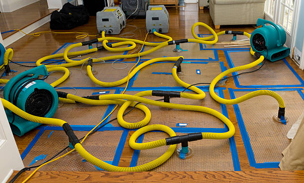Professional Emergency Water Removal technician working in Pleasant Grove, OH